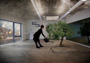 3. Nation Estate - Olive Tree