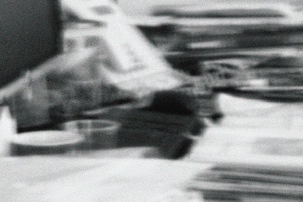 Photograph by Katerina Beloglazova