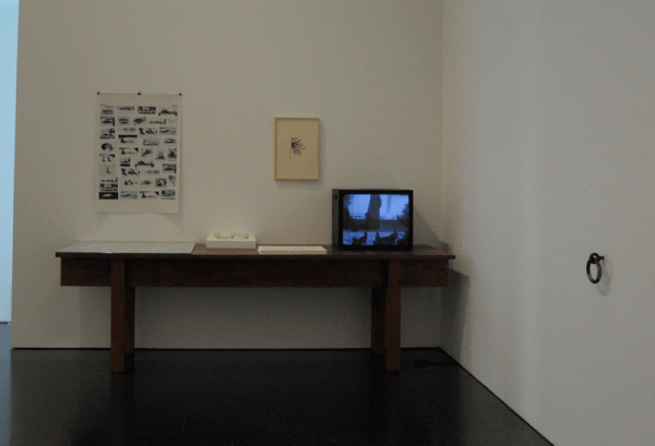 Exhibiton shot, MACBA 2015 (Oier Etxeberria)