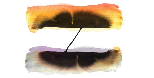 Creativity-Wronged_equals